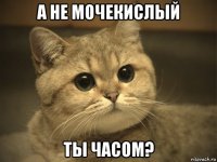 а не мочекислый ты часом?