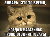 январь - это то время, когда в магазинах прошлогодние товары