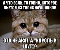 а что если, то говно, которое льется из твоих наушников это не ак47, а "король и шут"?