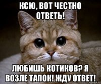 ксю, вот честно ответь! любишь котиков? я возле тапок! жду ответ!