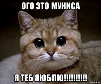 ого это муниса я теб яюблю!!!!!!!!!!