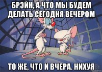 брэйн, а что мы будем делать сегодня вечером то же, что и вчера. нихуя