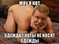 мяу я кот одежда? коты не носят одежды