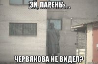 эй, парень.... червякова не видел?