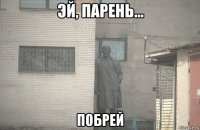  побрей