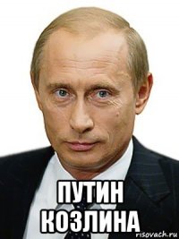  путин козлина