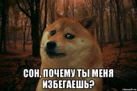  сон, почему ты меня избегаешь?