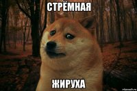 стрёмная жируха