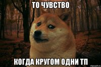 то чувство когда кругом одни тп