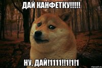 дай канфетку!!!!! ну, дай!1111!!1!1!1