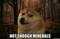  not enough minerals