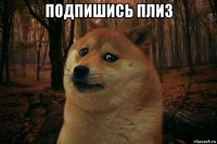 подпишись плиз 