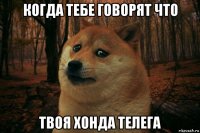 когда тебе говорят что твоя хонда телега