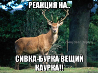 реакция на.. сивка-бурка вещий каурка!!