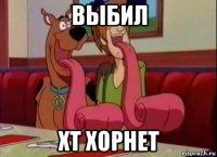 выбил хт хорнет