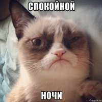 спокойной ночи