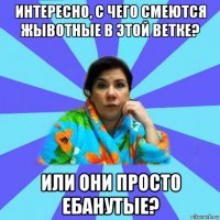 интересно, с чего смеются жывотные в этой ветке? или они просто ебанутые?