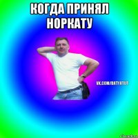 когда принял норкату 