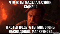 что ж ты наделал, сукин сын?!!! я хотел воду, а ты мне огонь наколдовал, маг хренов!