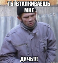 ты вталкиваешь мне дичь!!!