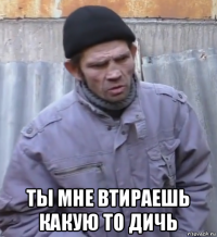  ты мне втираешь какую то дичь