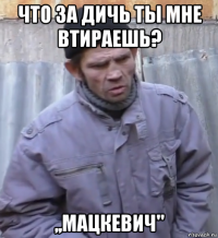 что за дичь ты мне втираешь? ,,мацкевич''