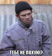  тебе не похую?