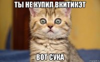 ты не купил вкитикэт вот сука