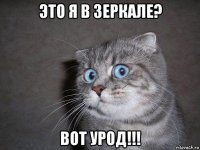 это я в зеркале? вот урод!!!