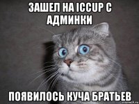 зашел на iccup с админки появилось куча братьев