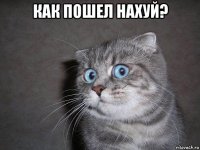 как пошел нахуй? 