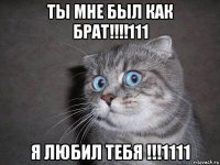 ты мне был как брат!!!!111 я любил тебя !!!1111