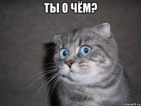 ты о чём? 