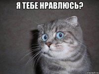 я тебе нравлюсь? 