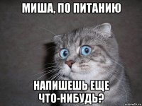 миша, по питанию напишешь еще что-нибудь?