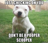 just checking on you don't be a pooper scooper