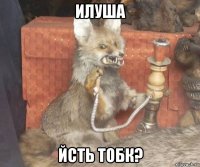 илуша йсть тобк?