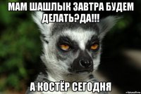 мам шашлык завтра будем делать?да!!! а костёр сегодня