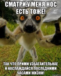 сматри,у меня нос есть тоже! так что прими узбагаительнае и наслаждайся последними часами жизни!