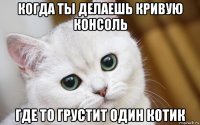 когда ты делаешь кривую консоль где то грустит один котик