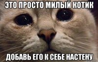 это просто милый котик добавь его к себе настену