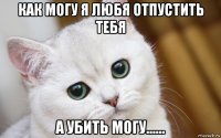 как могу я любя отпустить тебя а убить могу......