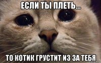 если ты плеть... то котик грустит из за тебя