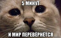 5 минут и мир перевёрнётся