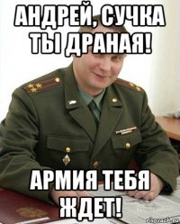 андрей, сучка ты драная! армия тебя ждет!