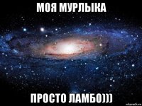 моя мурлыка просто ламбо)))