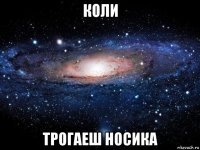 коли трогаеш носика