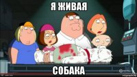 я живая собака