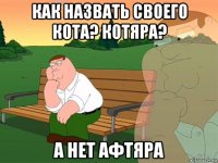 как назвать своего кота? котяра? а нет афтяра