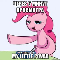 через 5 минут просмотра my little povar